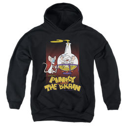 Pinky And The Brain Lab Flask - Youth Hoodie Youth Hoodie (Ages 8-12) Pinky and The Brain   