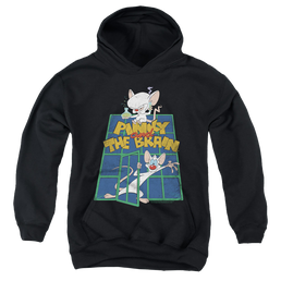 Pinky And The Brain Ol Standard - Youth Hoodie Youth Hoodie (Ages 8-12) Pinky and The Brain   