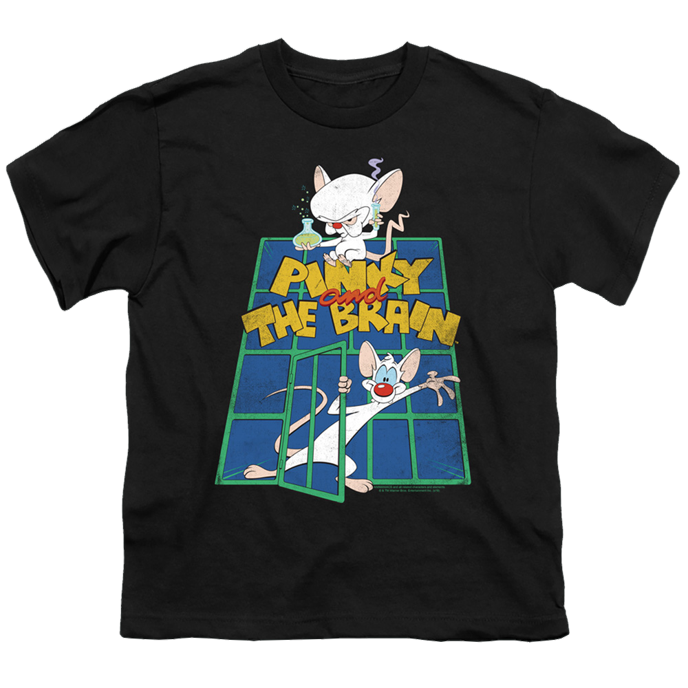 Pinky And The Brain Ol Standard - Youth T-Shirt Youth T-Shirt (Ages 8-12) Pinky and The Brain   