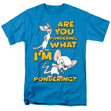 Turquoise men's regular fit t-shirt with Pinky and The Brain Pondering graphic