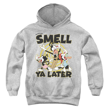 Athletic heather youth hoodie for ages 8 to 12 with Animaniacs Smell Ya Later graphic