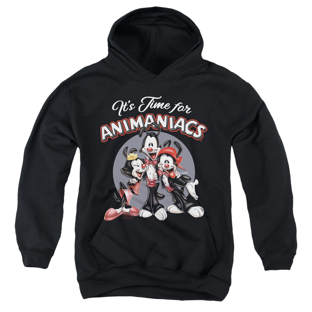 Animaniacs Its Time For - Youth Hoodie Youth Hoodie (Ages 8-12) Animaniacs   