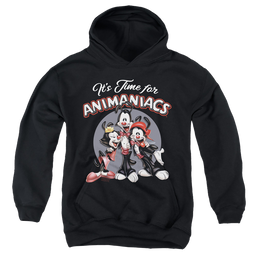 Animaniacs Its Time For - Youth Hoodie Youth Hoodie (Ages 8-12) Animaniacs   