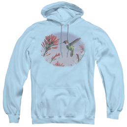 Wild Wings Annas Hummingbird - Pullover Hoodie Pullover Hoodie Wild Wings   