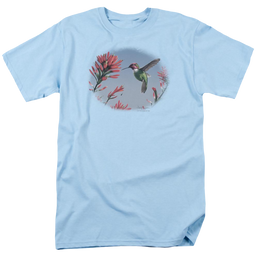 Wild Wings Annas Hummingbird - Men's Regular Fit T-Shirt Men's Regular Fit T-Shirt Wild Wings   