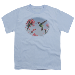 Wild Wings Annas Hummingbird - Youth T-Shirt Youth T-Shirt (Ages 8-12) Wild Wings   
