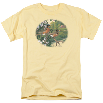 Banana men's regular fit t-shirt with Wild Wings Apple Blossom Time Robins graphic