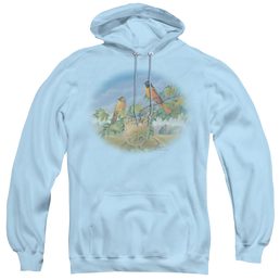 Wild Wings Orioles And Farm - Pullover Hoodie Pullover Hoodie Wild Wings   