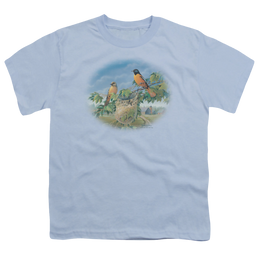 Wild Wings Orioles And Farm - Youth T-Shirt Youth T-Shirt (Ages 8-12) Wild Wings   