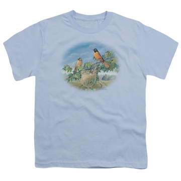 Light blue youth t-shirt for ages 8 to 12 with Wild Wings Orioles And Farm graphic