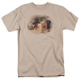 Wild Wings Box Boys Black Labs - Men's Regular Fit T-Shirt Men's Regular Fit T-Shirt Wild Wings   