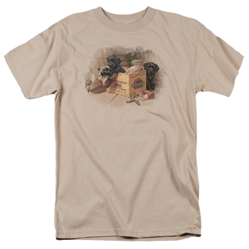 Wild Wings Box Boys Black Labs - Men's Regular Fit T-Shirt Men's Regular Fit T-Shirt Wild Wings   