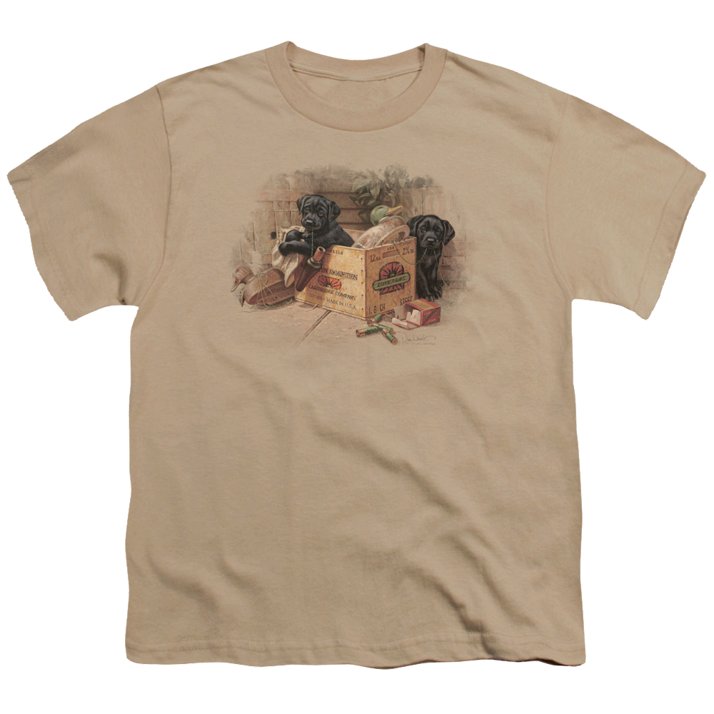 Wild Wings Box Boys Black Labs - Youth T-Shirt Youth T-Shirt (Ages 8-12) Wild Wings   