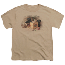 Wild Wings Box Boys Black Labs - Youth T-Shirt Youth T-Shirt (Ages 8-12) Wild Wings   