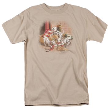 Sand men's regular fit t-shirt with Wild Wings Wheres The Fire? graphic
