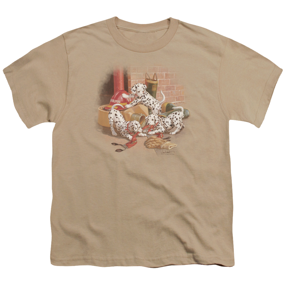 Wild Wings Wheres The Fire? - Youth T-Shirt Youth T-Shirt (Ages 8-12) Wild Wings   