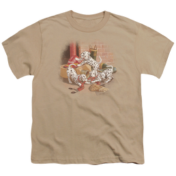 Wild Wings Wheres The Fire? - Youth T-Shirt Youth T-Shirt (Ages 8-12) Wild Wings   