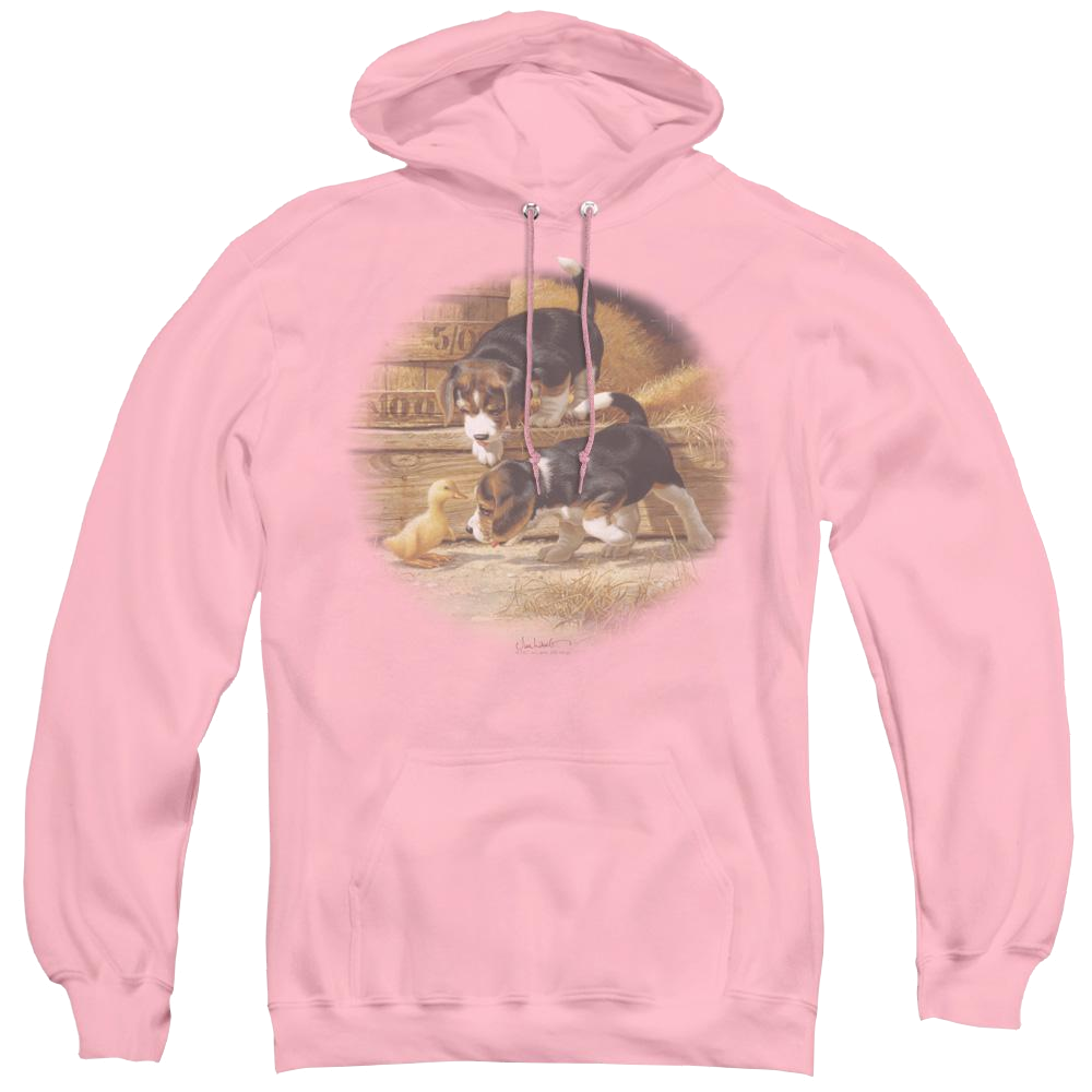 Wild Wings Getting Acquainted - Pullover Hoodie Pullover Hoodie Wild Wings   