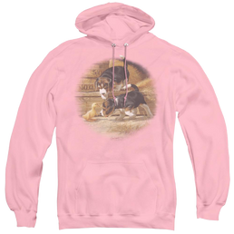 Wild Wings Getting Acquainted - Pullover Hoodie Pullover Hoodie Wild Wings   