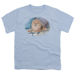 Wild Wings Pomeranian Portrait - Youth T-Shirt Youth T-Shirt (Ages 8-12) Wild Wings   