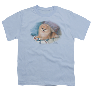 Light blue youth t-shirt for ages 8 to 12 with Wild Wings Pomeranian Portrait graphic