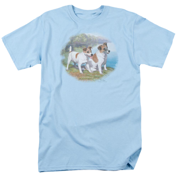 Light blue men's regular fit t-shirt with Wild Wings Jack By Water graphic