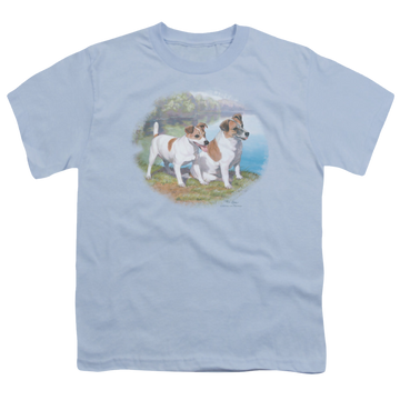 Light blue youth t-shirt for ages 8 to 12 with Wild Wings Jack By Water graphic