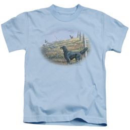Wild Wings Looking Back - Kid's T-Shirt Kid's T-Shirt (Ages 4-7) Wild Wings   