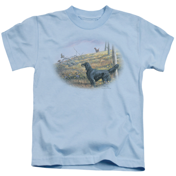 Light blue kid's t-shirt for ages 4 to 7 with Wild Wings Looking Back graphic