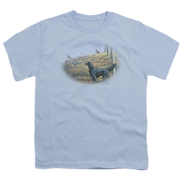 Wild Wings Looking Back - Youth T-Shirt Youth T-Shirt (Ages 8-12) Wild Wings   