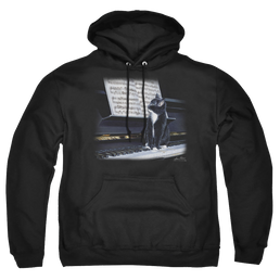 Wild Wings Kitten On The Keys - Pullover Hoodie Pullover Hoodie Wild Wings   
