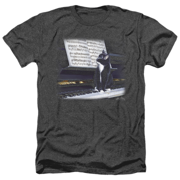 Charcoal men's heather t-shirt with Wild Wings Kitten On The Keys graphic