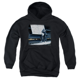 Wild Wings Kitten On The Keys - Youth Hoodie Youth Hoodie (Ages 8-12) Wild Wings   