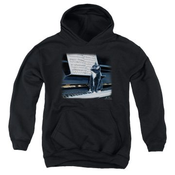 Black youth hoodie for ages 8 to 12 with Wild Wings Kitten On The Keys graphic