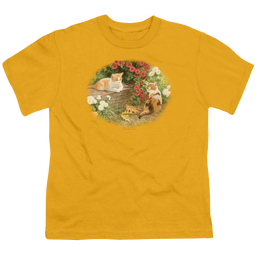 Wild Wings Kittens And Mums - Youth T-Shirt Youth T-Shirt (Ages 8-12) Wild Wings   