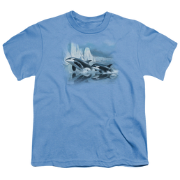 Wild Wings Glaciers Edge Orcas - Youth T-Shirt Youth T-Shirt (Ages 8-12) Wild Wings   