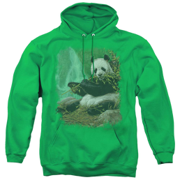Wild Wings Citizen Of Heaven On Earth - Pullover Hoodie Pullover Hoodie Wild Wings   