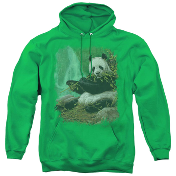 Kelly green pullover hoodie with Wild Wings Citizen Of Heaven On Earth graphic