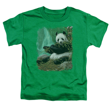 Kelly green toddler t-shirt with Wild Wings Citizen Of Heaven On Earth graphic