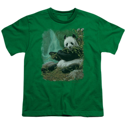 Wild Wings Citizen Of Heaven On Earth - Youth T-Shirt Youth T-Shirt (Ages 8-12) Wild Wings   
