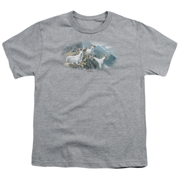 Athletic heather youth t-shirt for ages 8 to 12 with Wild Wings High Trails Dall Sheep graphic