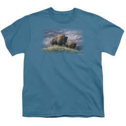 Wild Wings Nomads Of The Plains - Youth T-Shirt Youth T-Shirt (Ages 8-12) Wild Wings   