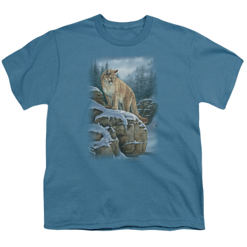 Slate youth t-shirt for ages 8 to 12 with Wild Wings Misty Canyon Cougar graphic