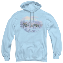 Wild Wings Battling Bulls - Pullover Hoodie Pullover Hoodie Wild Wings   