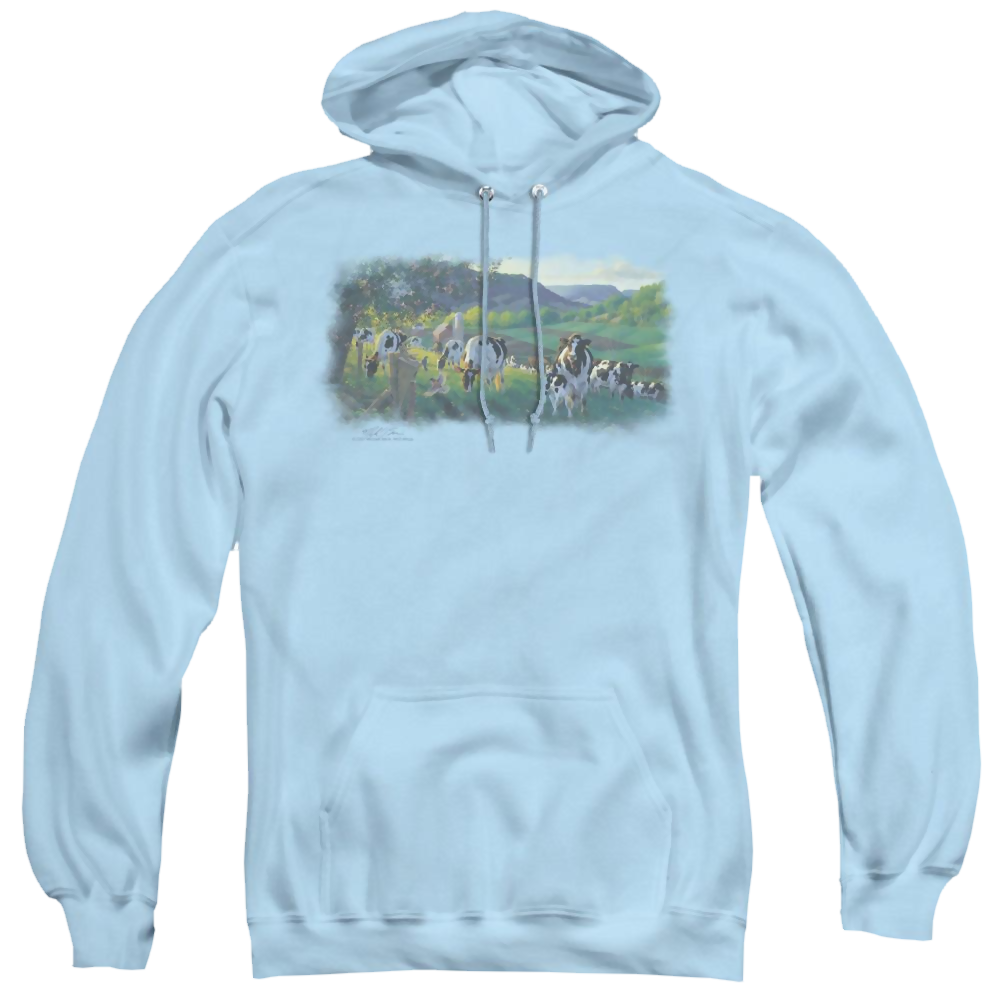 Wild Wings Gods Country - Pullover Hoodie Pullover Hoodie Wild Wings   