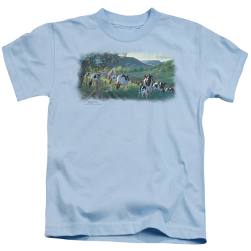 Light blue kid's t-shirt for ages 4 to 7 with Wild Wings Gods Country graphic