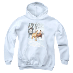 Wild Wings Coffee And Chocolate - Youth Hoodie Youth Hoodie (Ages 8-12) Wild Wings   