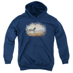 Wild Wings Dust At Dawn - Youth Hoodie Youth Hoodie (Ages 8-12) Wild Wings   
