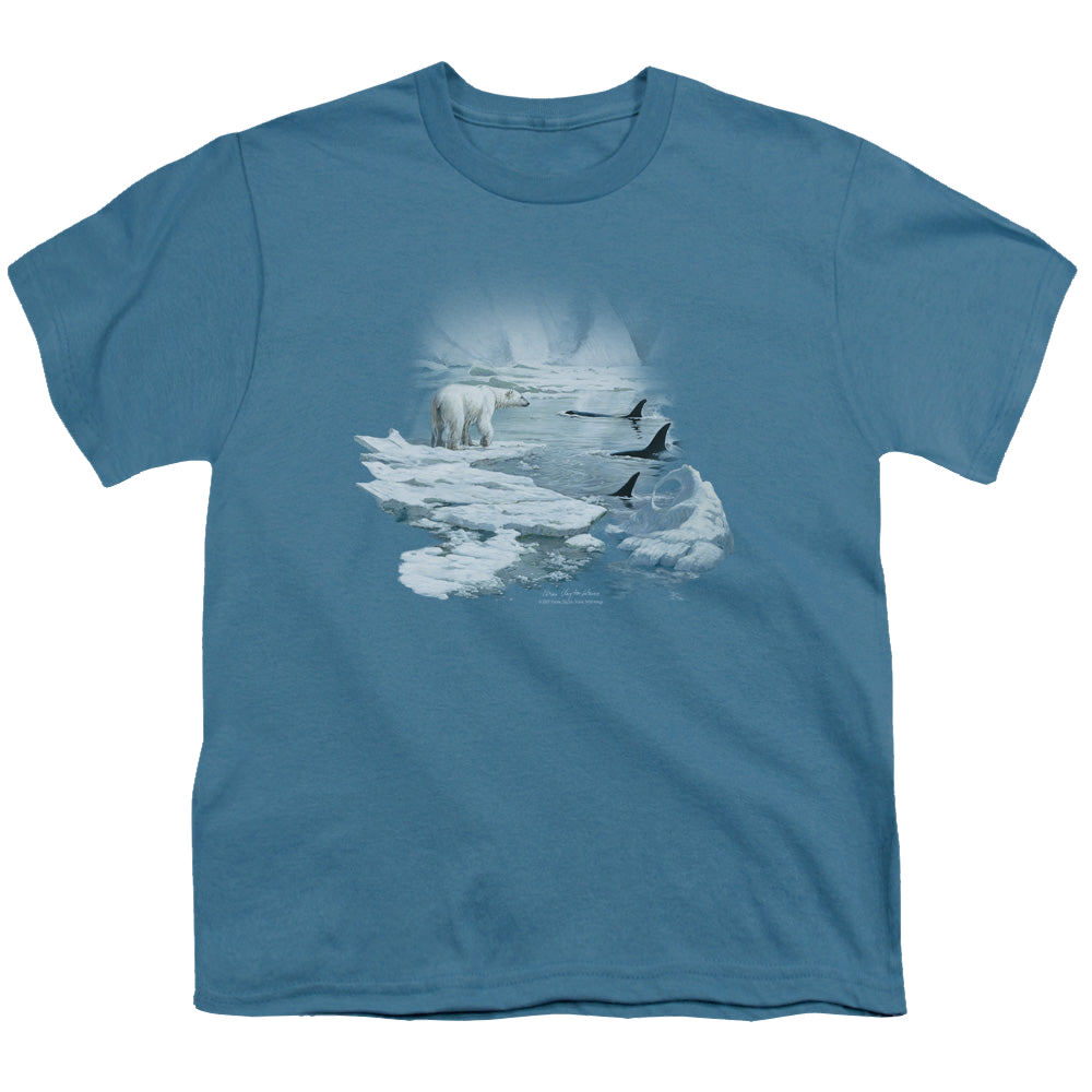 Wild Wings Glaciers Egdge - Youth T-Shirt Youth T-Shirt (Ages 8-12) Wild Wings   