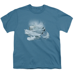 Wild Wings Glaciers Egdge - Youth T-Shirt Youth T-Shirt (Ages 8-12) Wild Wings   